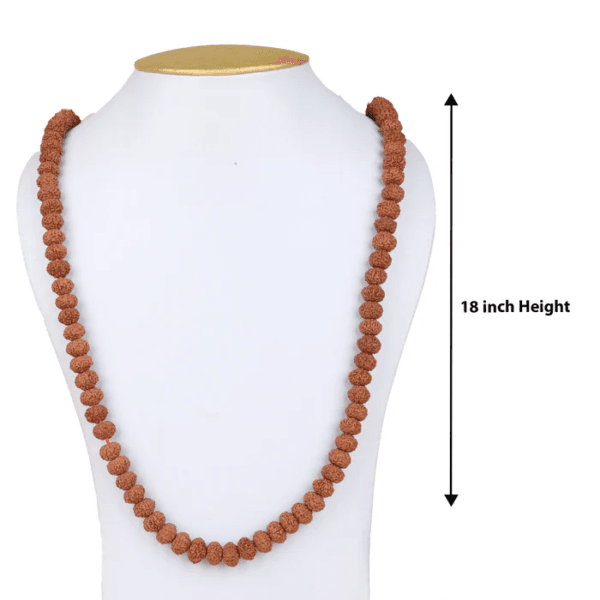 kamakhaya rudrakh mala